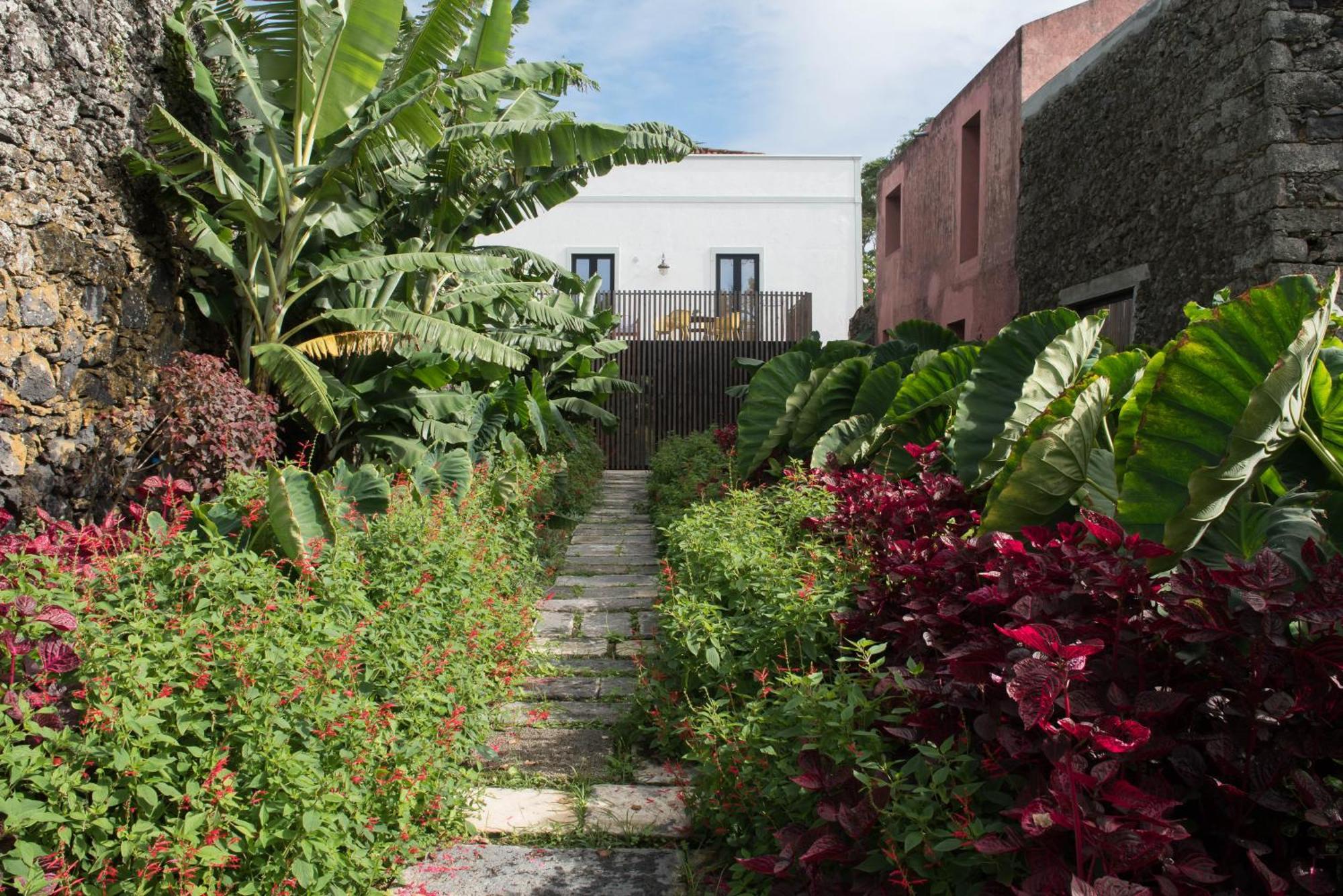 Green&Houses Ponta Delgada المظهر الخارجي الصورة
